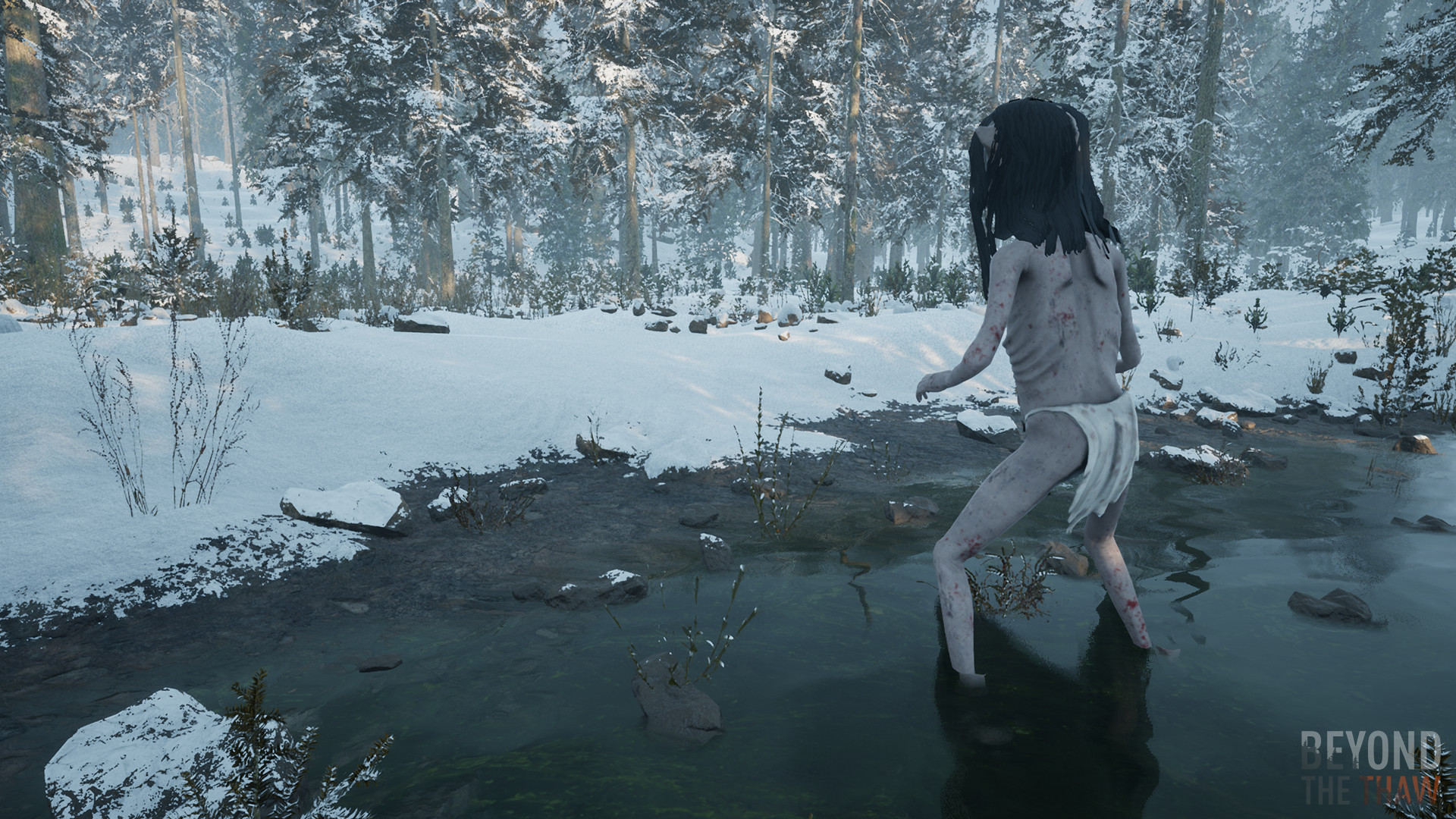 Beyond The Thaw screenshot #4