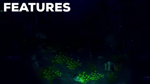 Last Visit video 4
