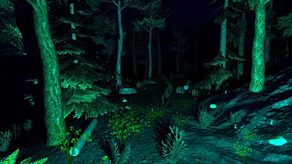 Thumbnail 11