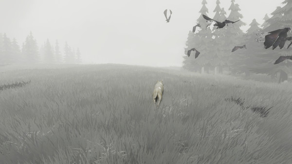 Only Hope - Episode 6