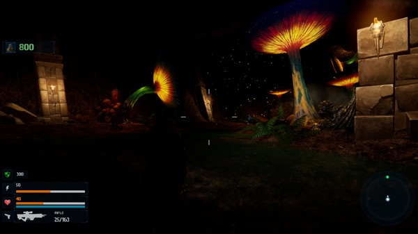 Thumbnail 9
