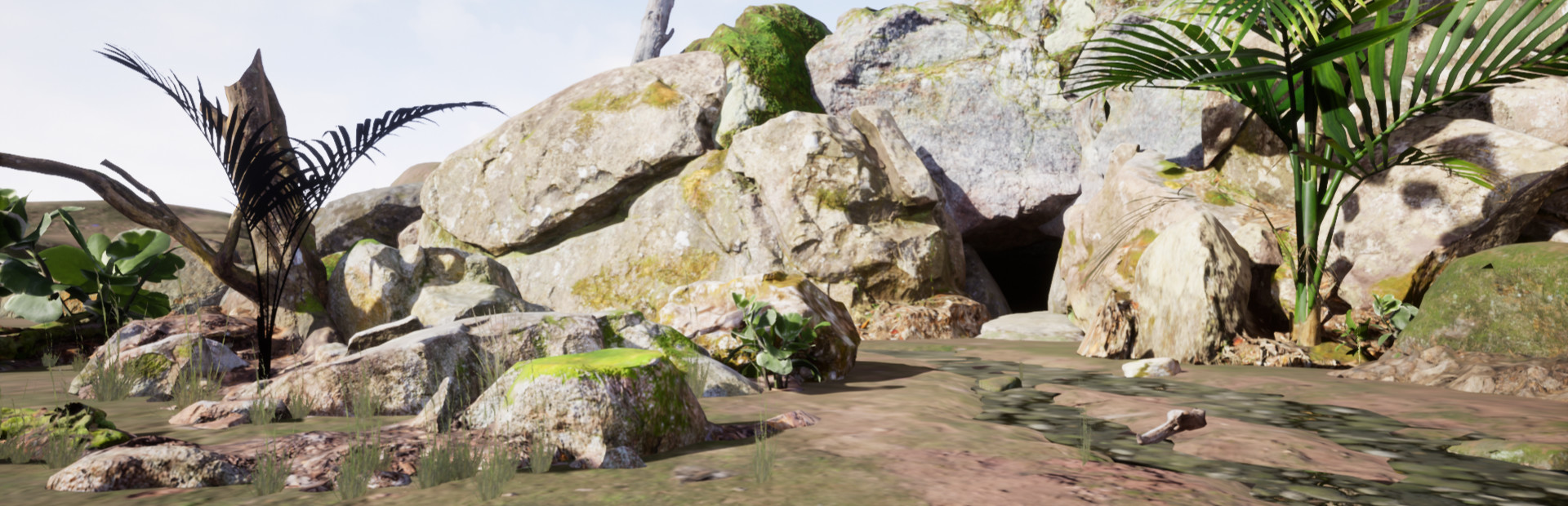 Cave Explorers