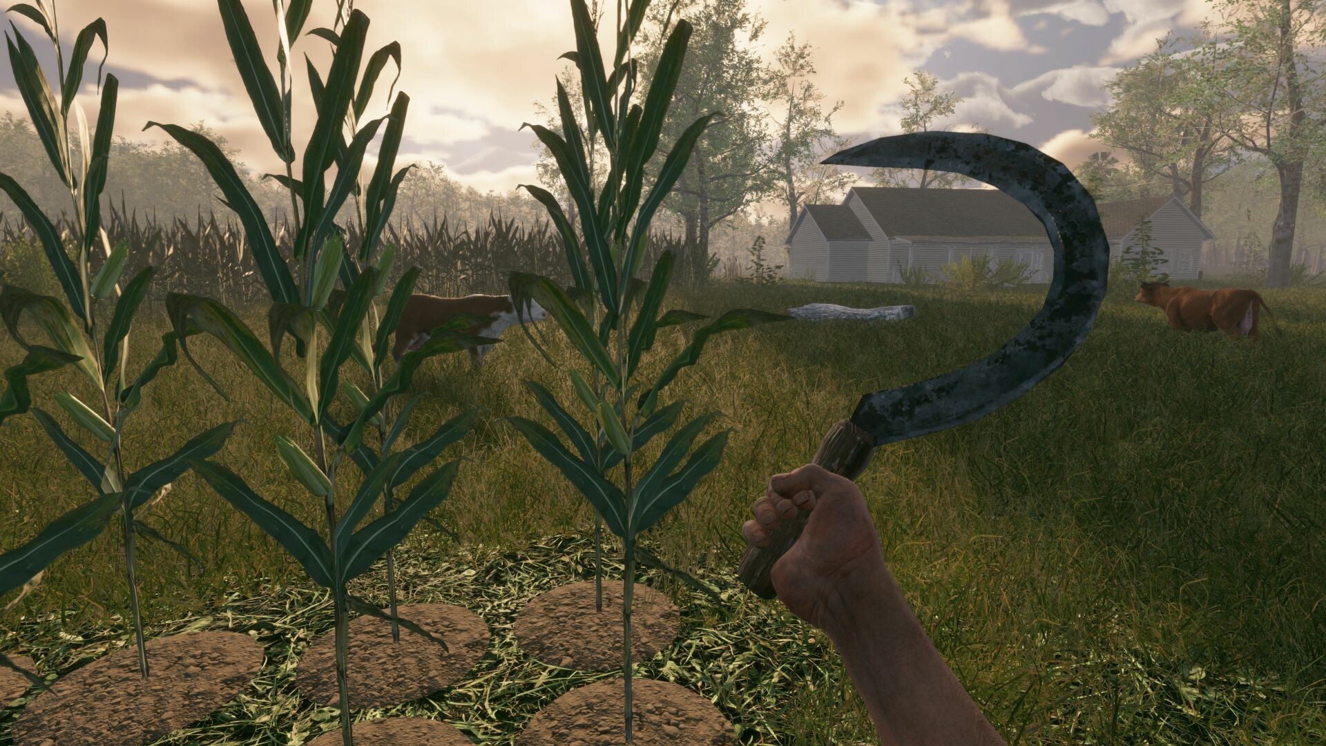 Fields of Fear screenshot #2