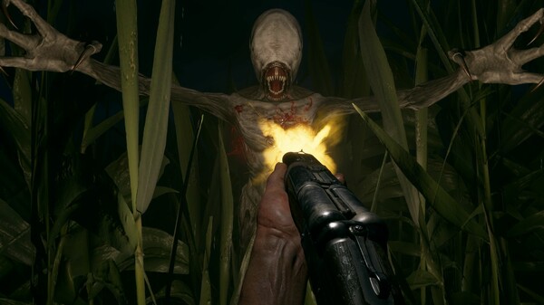 Fields of Fear
