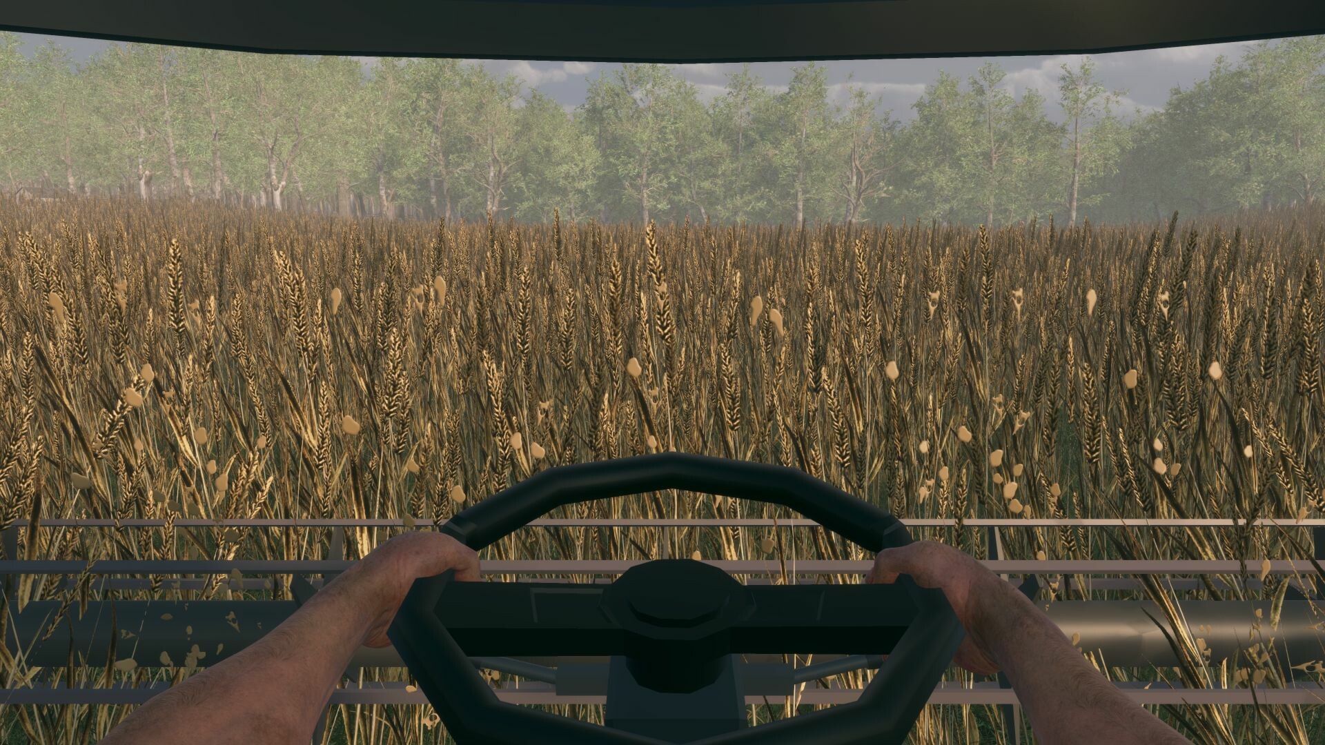 Fields of Fear screenshot #4