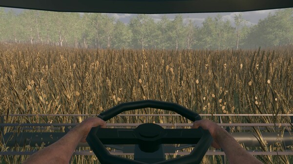 Fields of Fear