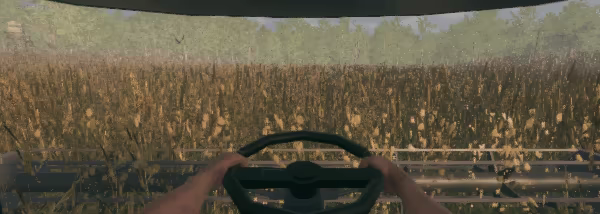 Fields of Fear video 3