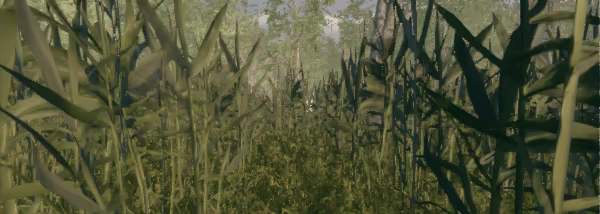 Fields of Fear video 5