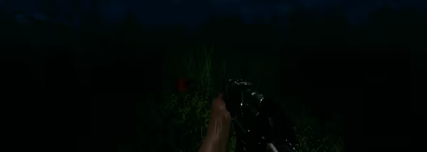 Fields of Fear video 2