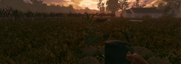 Fields of Fear video 1