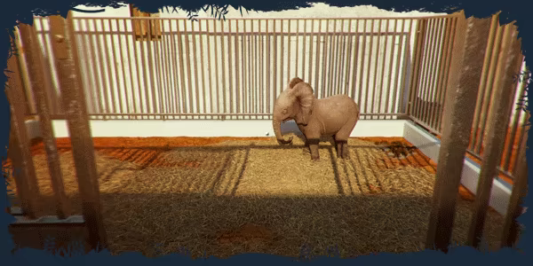 Safari Park Ranger video 1