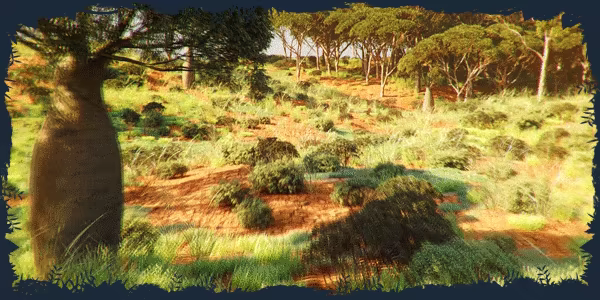 Safari Park Ranger video 3