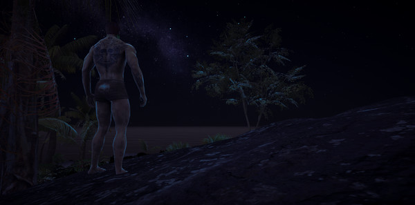 Thumbnail 42
