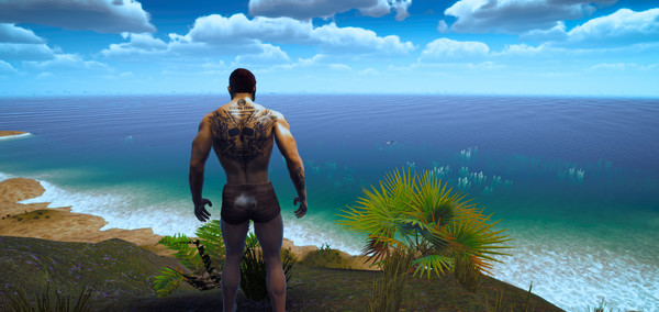 Thumbnail 33