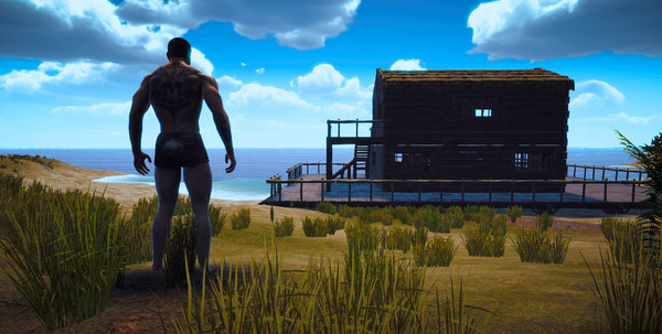 Thumbnail 36