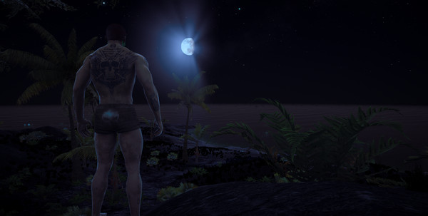 Thumbnail 41