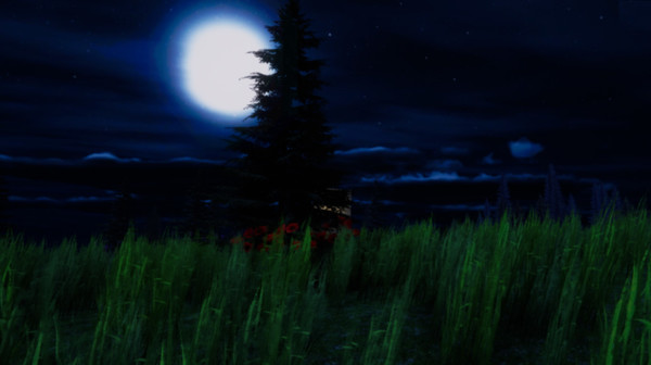 Thumbnail 20