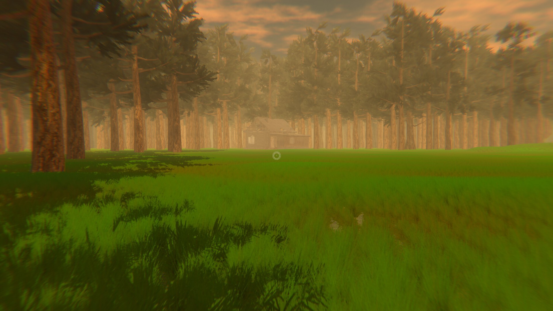 Sunflower Code screenshot #2