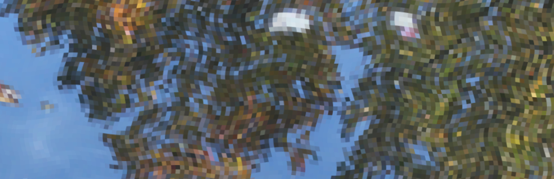 Tree Trunk Brook