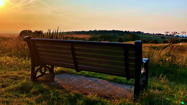 Letter Vetter screenshot 6