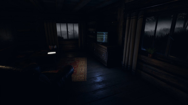 Thumbnail 13