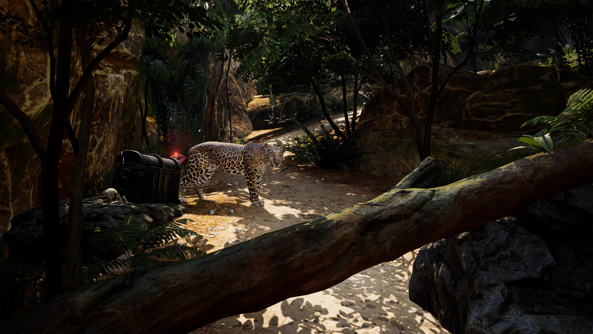 Pirates VR: Jolly Roger screenshot #6