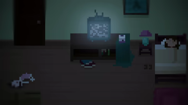 House video 3