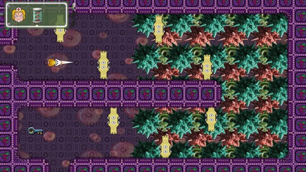 Thumbnail 11