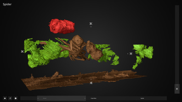 Inside Explorer: Insects in Amber screenshot 2