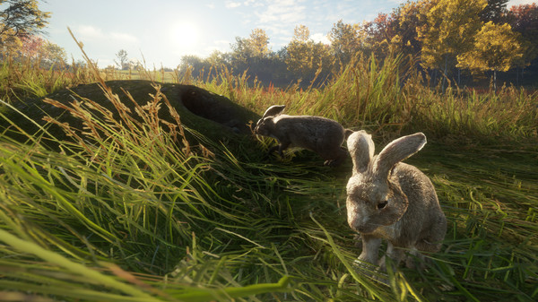 theHunter: Call of the Wild™ - Free Species: European Rabbit