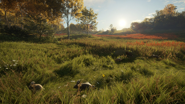 theHunter: Call of the Wild™ - Free Species: European Rabbit