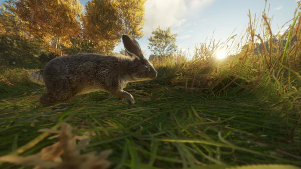 theHunter: Call of the Wild™ - Free Species: European Rabbit