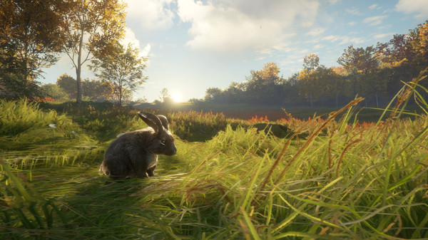 theHunter: Call of the Wild™ - Free Species: European Rabbit