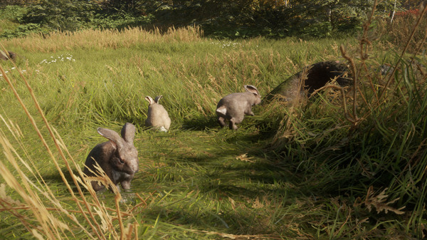 theHunter: Call of the Wild™ - Free Species: European Rabbit