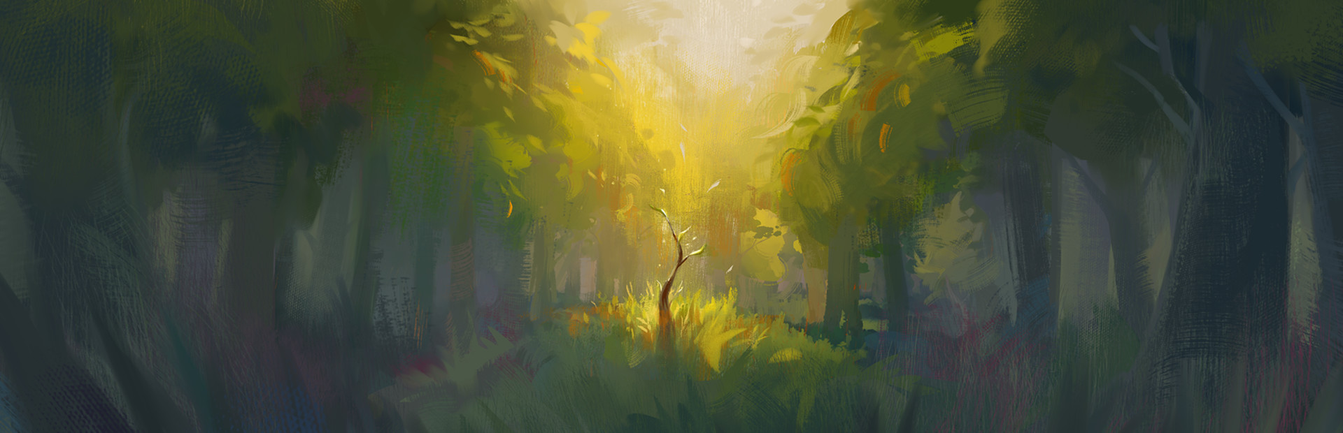 Sunlight