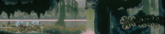 LAPIN video 3