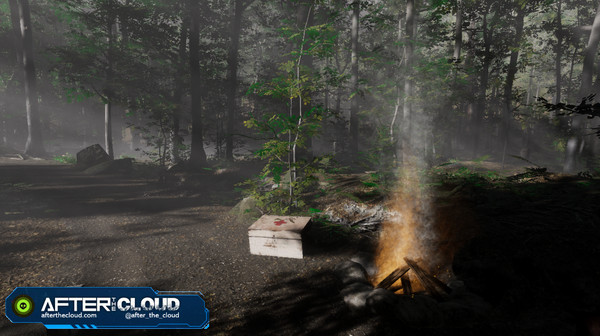 Thumbnail 10
