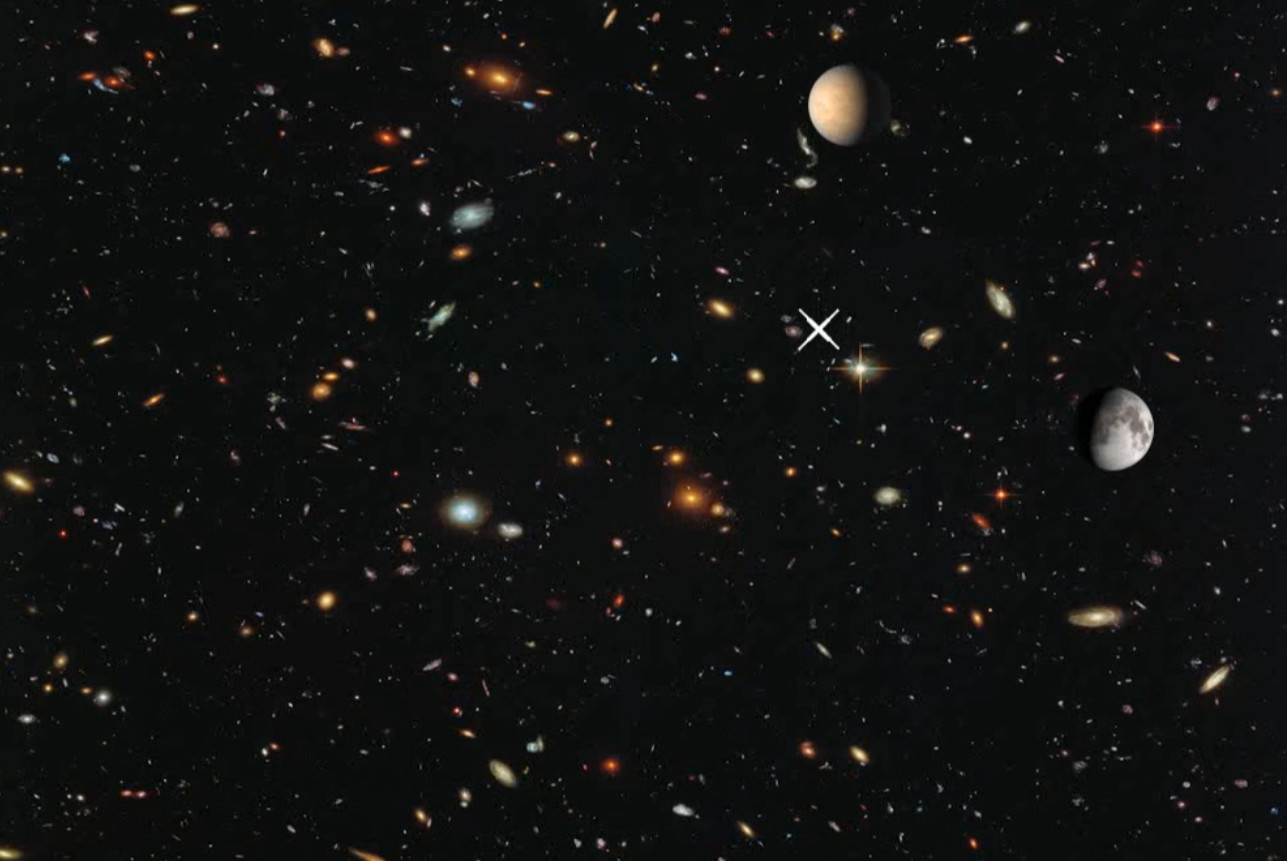 #4. Pull (Steam) Ved: Feral Code Monkey