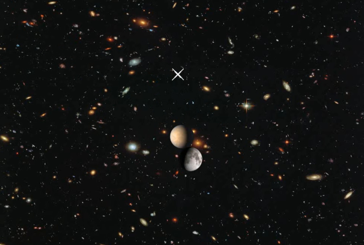 #3. Pull (Steam) Ved: Feral Code Monkey