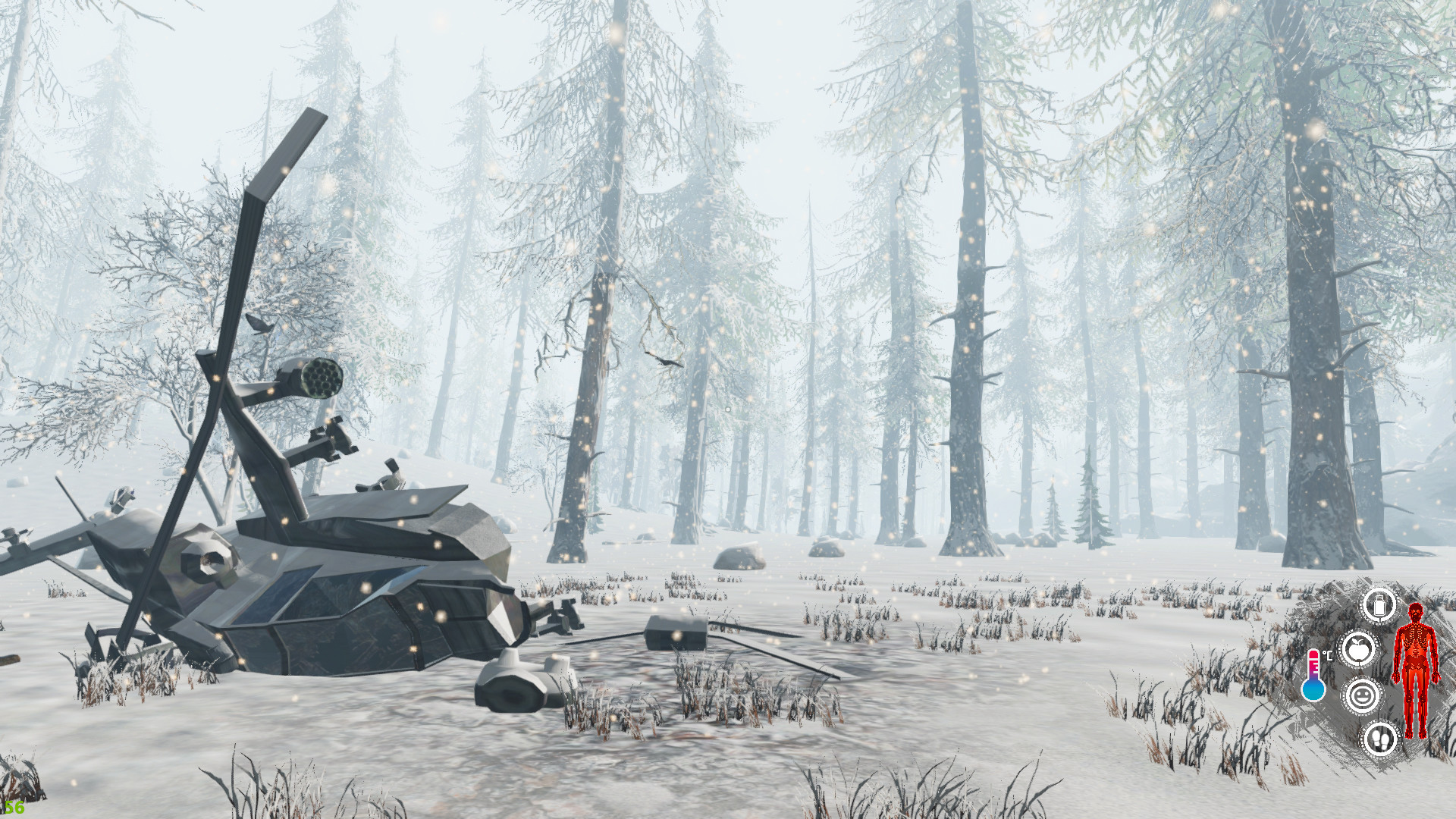 Snow Survival