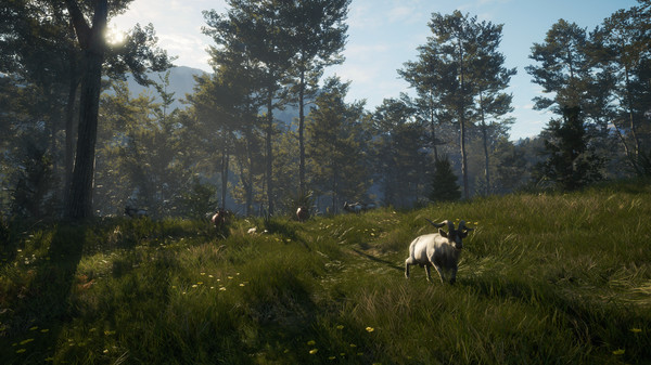 theHunter: Call of the Wild - Te Awaroa National Park (DLC) screenshot 9