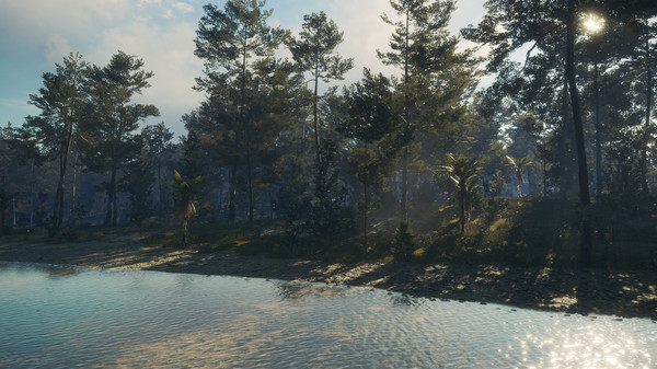 theHunter: Call of the Wild™ - Te Awaroa National Park — скриншот 11