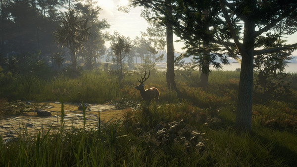 theHunter: Call of the Wild™ - Te Awaroa National Park — скриншот 12