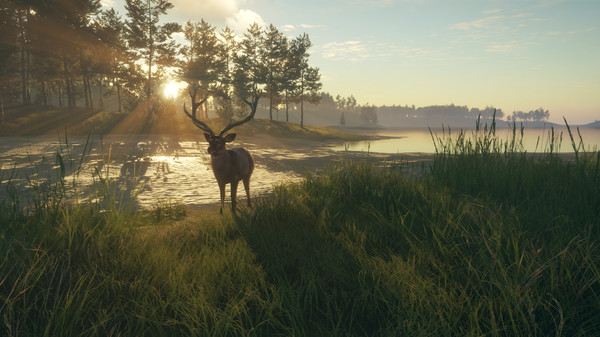 theHunter: Call of the Wild™ - Te Awaroa National Park