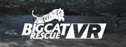 Capsule media