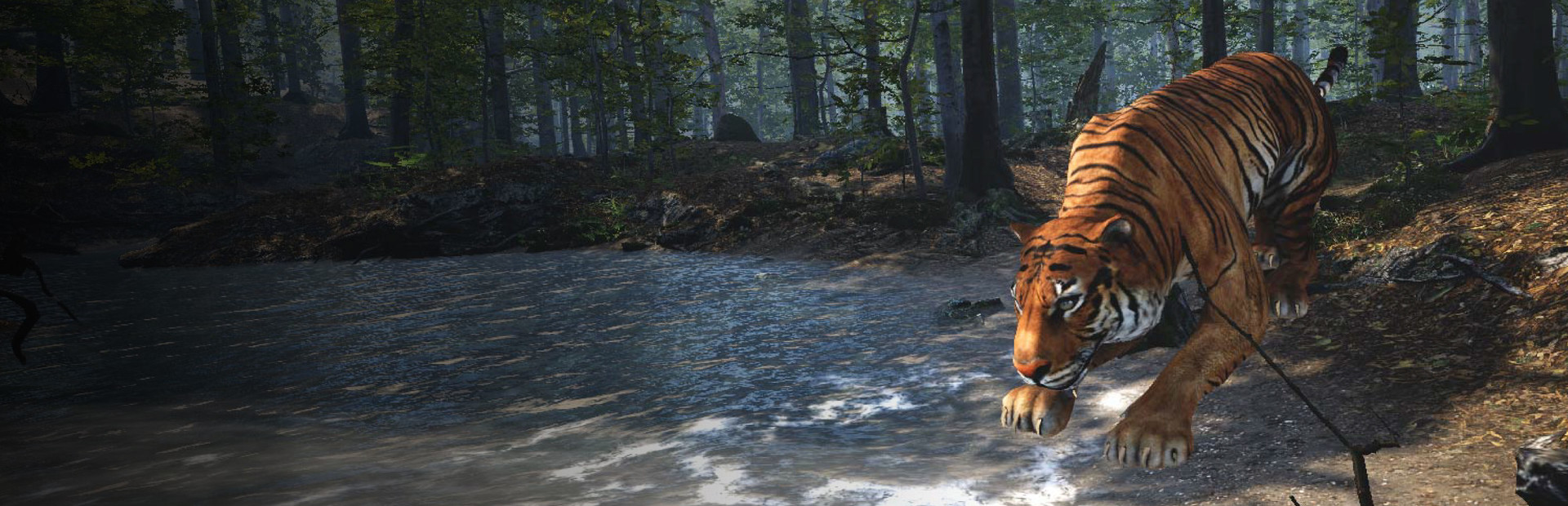 Big Cat Rescue VR