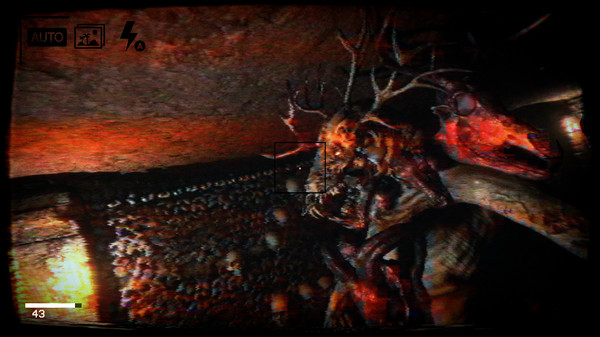 Thumbnail 15