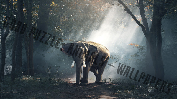 Good puzzle: Animals - Wallpapers.
