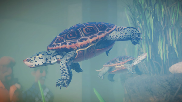Planet Zoo: Aquatic Pack.