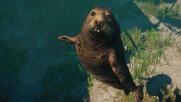 Planet Zoo: Aquatic Pack.